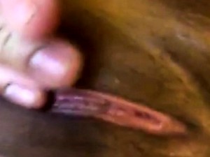 QUEST FOR ORGASM - Beautiful Serbian blonde Cherry Kiss masturbates and gets wild orgasms